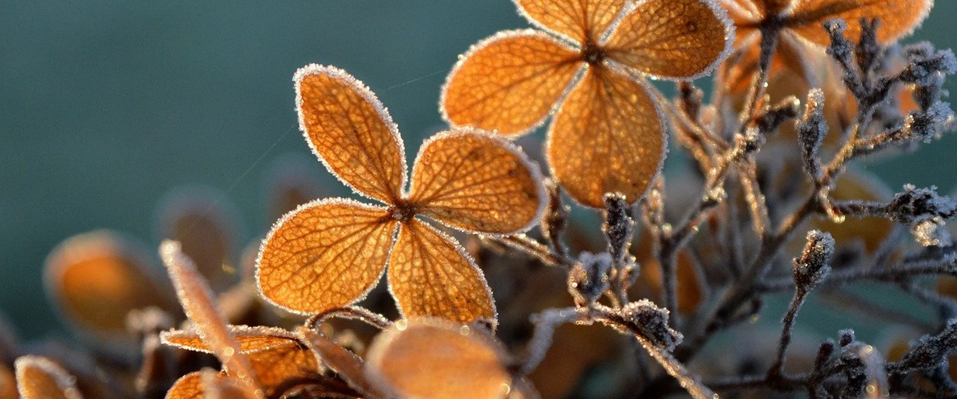 问鼎娱乐娱乐平台